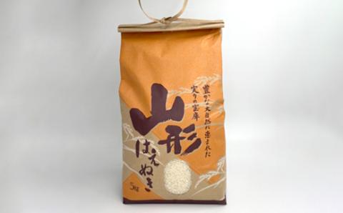《先行予約》山形県産米 はえぬき 5kg 精米 米 お米 おこめ 山形県 新庄市 F3S-1710
