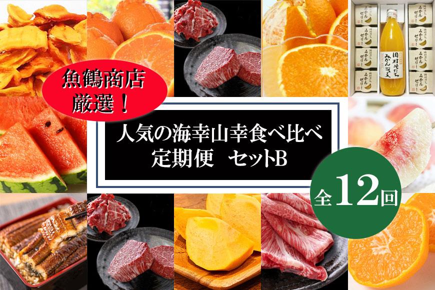 【魚鶴商店厳選！】人気の海幸山幸食べ比べ【定期便全12回】セットB【UT110】