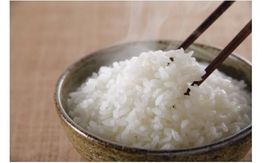 五ツ星お米マイスター 特選米 3kg（鳥取県産・7年産）