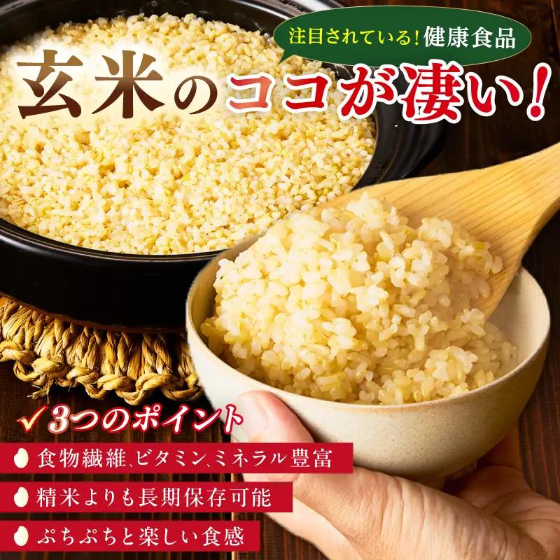【ふるなびWEEK対象】直売所直送「令和7年産　京丹後市産　コシヒカリ」　玄米5kg