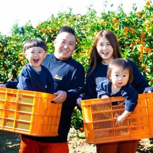 「夕やけブランド」ぷるぷる食感【せとか】3kg【C49-67】【1509770】