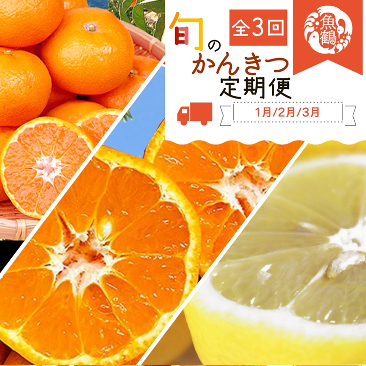 〈定期便〉【1・2・3月 全3回】紀州和歌山産旬のフルーツセット(みかん・不知火・レモン)