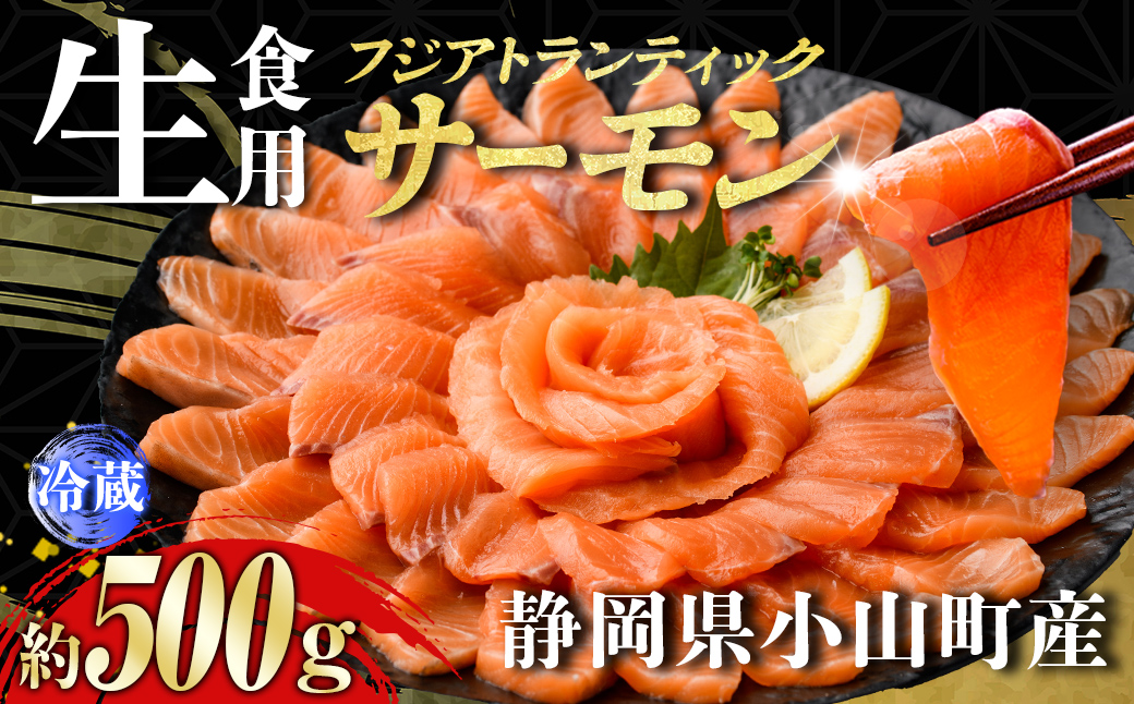 日本初 完全陸上養殖 静岡県小山町産 国産 フジアトランティックサーモン 生 ・冷蔵 2〜3P 約500g｜ サーモン アトランティックサーモン 魚介 海鮮 魚 国産 冷蔵 生 刺身
