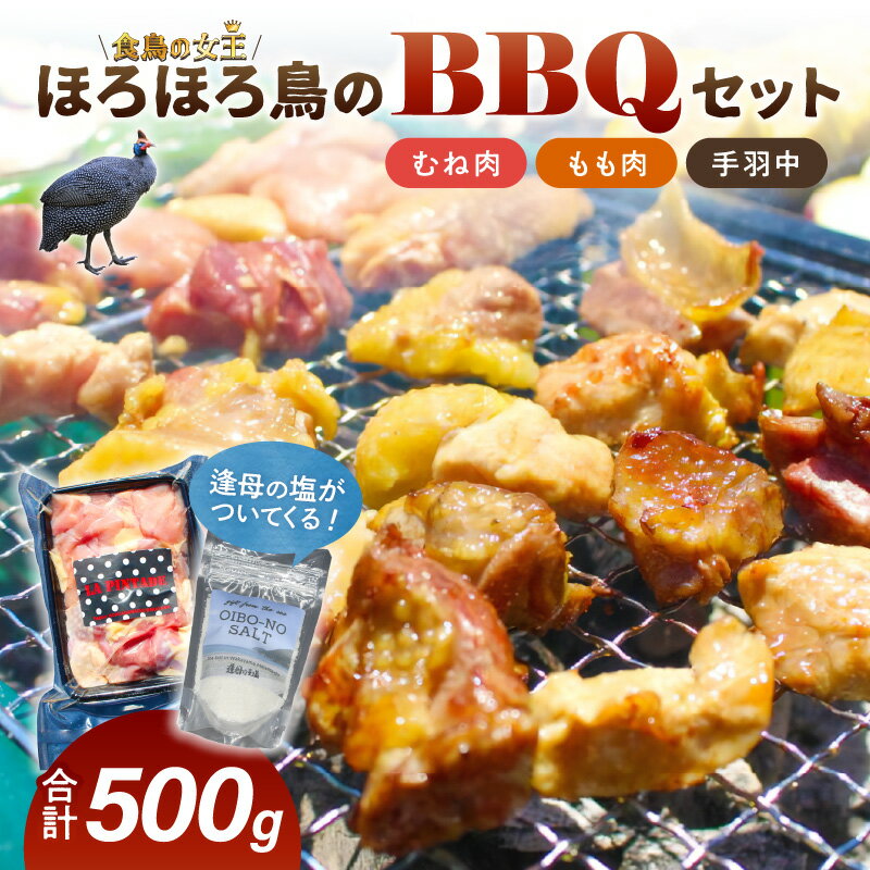 【ふるさと納税】ほろほろ鳥のBBQセット逢母の塩付(1～2人前）
