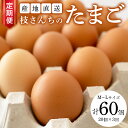 【ふるさと納税】【3ヶ月定期便】枝さんち の たまご 20個×3回 合計60個 定期便 産地直送 たまご 玉子 生卵 鶏卵 タマゴ 平飼い 桜川市産 茨城県産 卵 非遺伝子組換え