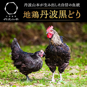 丹波黒鶏 地鶏 むね肉 カット ブランド鶏 丹波黒鶏【1.2kg(240g×5袋)】
