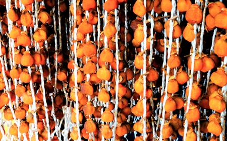 干し柿（紅柿）８個×４パック　0108-2405