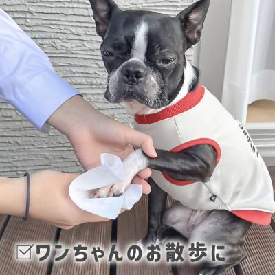 ふるさと納税 土佐市 SUITTO ロールmini　2個 |  | 03