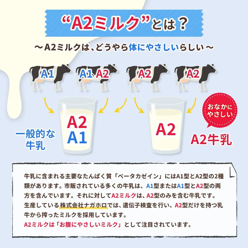 なかしべつ牛乳プレミアム NA2 MILK 1L×6本【1401801】