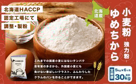 【6ヶ月定期便】北海道産 ゆめちから【強力粉】 5kg（1kg×5袋） 計30kg 国産 小麦粉 中力粉