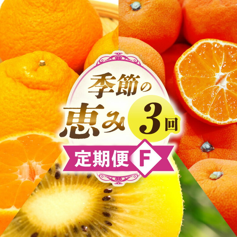 【ふるさと納税】季節の恵み3回定期便F 果物 フルーツ 青果 青果物 デザート スイーツ 果実 旬 季節 旬の果物 季節の果物 生鮮食品 生鮮 贈答 贈り物 ギフト プレゼント おすそ分け ご褒美 人気 グルメ お取り寄せ 特産品 特産 国産 香川県 三木町 レビューキャンペーン