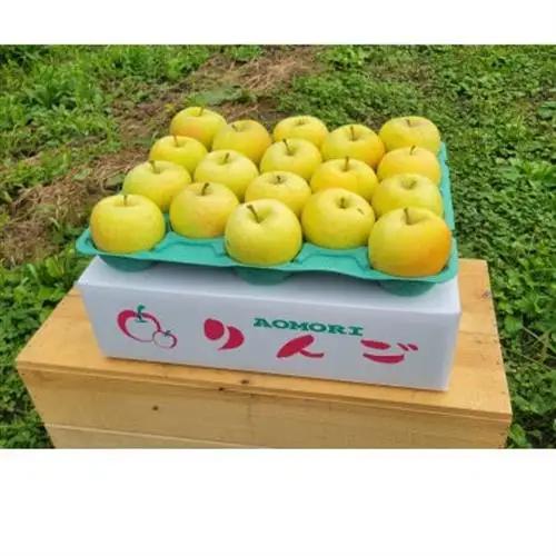 【訳あり】青森県産りんご「トキ　家庭用」約5kg　産地直送!_果物・フルーツ りんご  リンゴ 林檎_【配送不可地域：離島】【1513093】