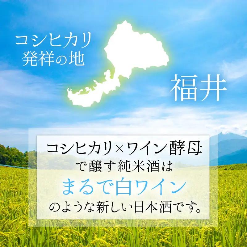 【日本酒】PURE RICE WINE 720ml×2本（純米ワイン）【新感覚！ワインのような日本酒】【ワイン 飲料 甘酸っぱい お酒 純米酒 こしひかり 白ワインタイプ ピュアライスワイン】[A-0
