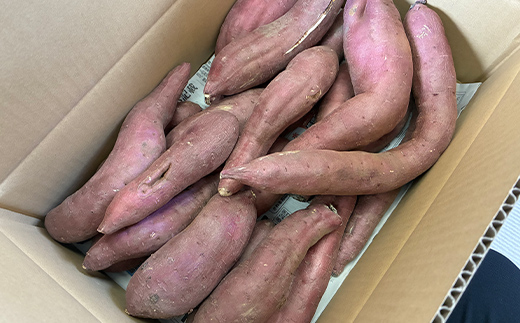 甘さ引き出す サイズ不揃い 熟成紅はるか 5kg さつまいも 訳