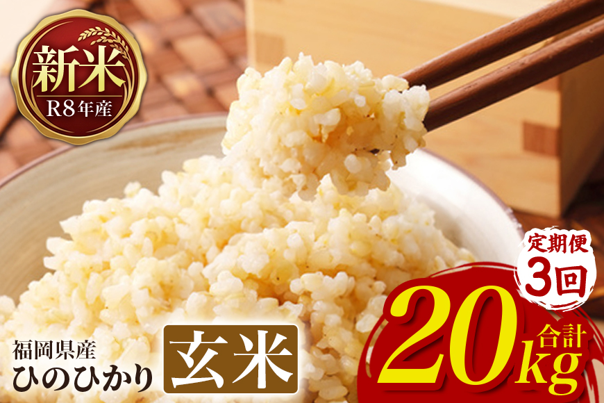 【3回定期便】 ひのひかり 米 お米 玄米 20kg 20キロ 令和8年産 新米 福岡県産 うきは市 国産 精米 ご飯 ごはん おにぎり お弁当 人気 おすすめ 家庭用 ギフト プレゼント お中元 お
