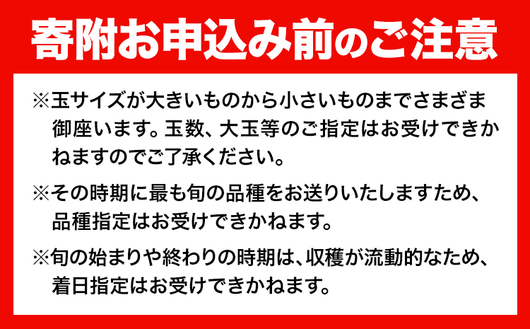 【計2回 7月8月発送】桃 【2025年先行予約】 岡山の桃 約1.3kg (4～8玉)×2回発送(7月、8月) 《2025年7月-8月頃出荷》フルーツ 果物 先行予約 数量限定 岡山 矢掛町 桃 モ