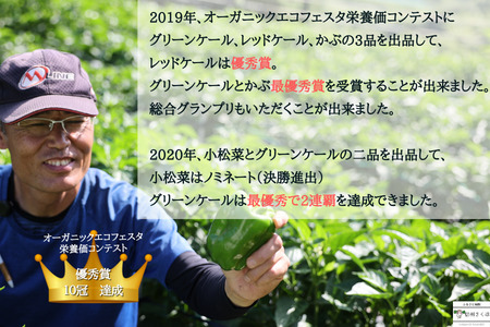 信州北八ヶ岳からお届け～ちいさな畑セット～（Mサイズ　２～３人前）有機野菜〔NK-01〕