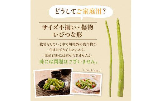 ご家庭用 さぬきのめざめセミロング30cm(細物・サイズ混合) 約700g【2026-3月上旬～2026-6月下旬配送】