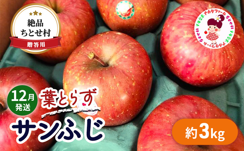 
【12月発送】贈答用 絶品 ちとせ村 葉とらずサンふじ 約3kg【弘前市産・青森りんご】
