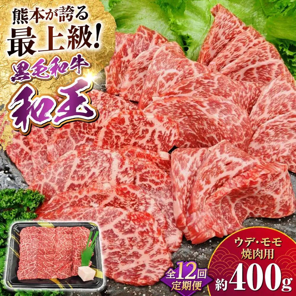 【全12回定期便】熊本県産 A5等級 黒毛和牛 和王 ウデ・モモ 焼肉用 約400g 計約4.8kg 焼肉[AYCH022]