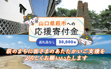 山口県萩市への応援寄付金[返礼品なし] 30,000円分
