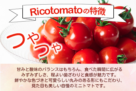 【2回定期便】完熟ミニトマト Ricotomato 1kg 合計2kg 月1回 年2回発送 野菜 とまと トマト 佐賀産 佐賀県 鹿島市 送料無料 春 夏 旬 D-93