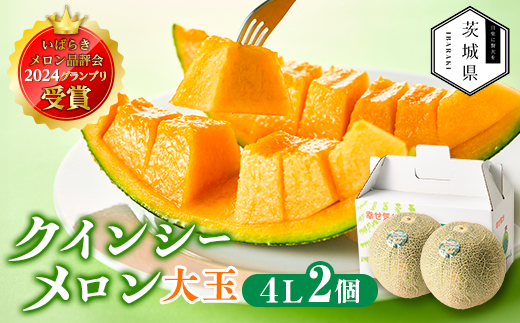 
                  ＜先行受付＞令和8年4月順次発送 茨城県鉾田市 山一ファーム クインシーメロン 大玉4L～5L・2玉_メロン フルーツ 果物 くだもの クインシーメロン 大玉 人気 おすすめ 送料無料【1590731】
                