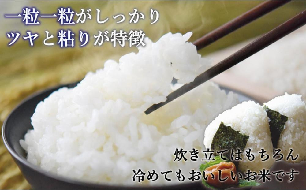 ＜全3回定期便＞令和8年米 福岡県産 米 【無洗米】金のめし丸元気つくし 5kg