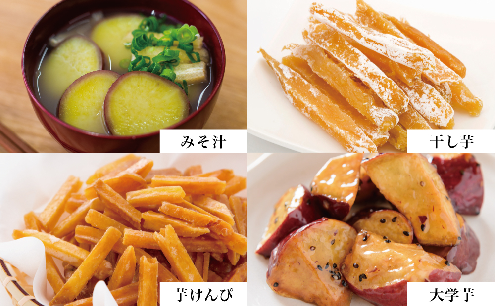 【鹿児島県産】生さつまいも「紅はるか」約3kg ★11月以降順次出荷★ 冬季限定 先行受付 さつまいも 生いも 生芋 焼き芋 さつま芋 甘藷 サツマイモ べにはるか スイーツ 野菜 貯蔵 常温保存 旬