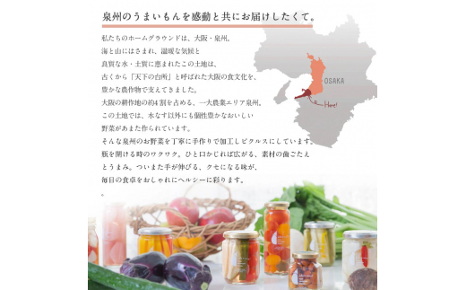 【スピード発送】いずみピクルス 定番人気のピクルス 3種セット NSW 010B1570