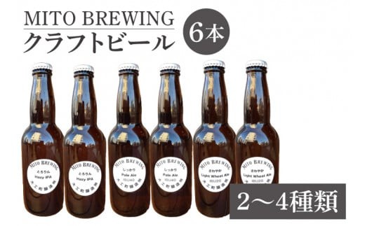 
                  第１回水戸さきがけビジネス大賞 優秀賞受賞！クラフトビール　6本詰め合わせ【お酒 クラフトビール ビール ふるさと納税 水戸市 茨城県】（GW-1）
                