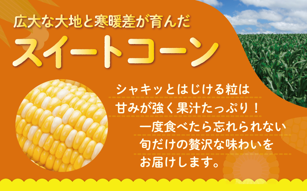 ＜2026年8月上旬よりお届け＞北海道壮瞥産 とうもろこし（スイートコーン）13本 約5kg SBTN001