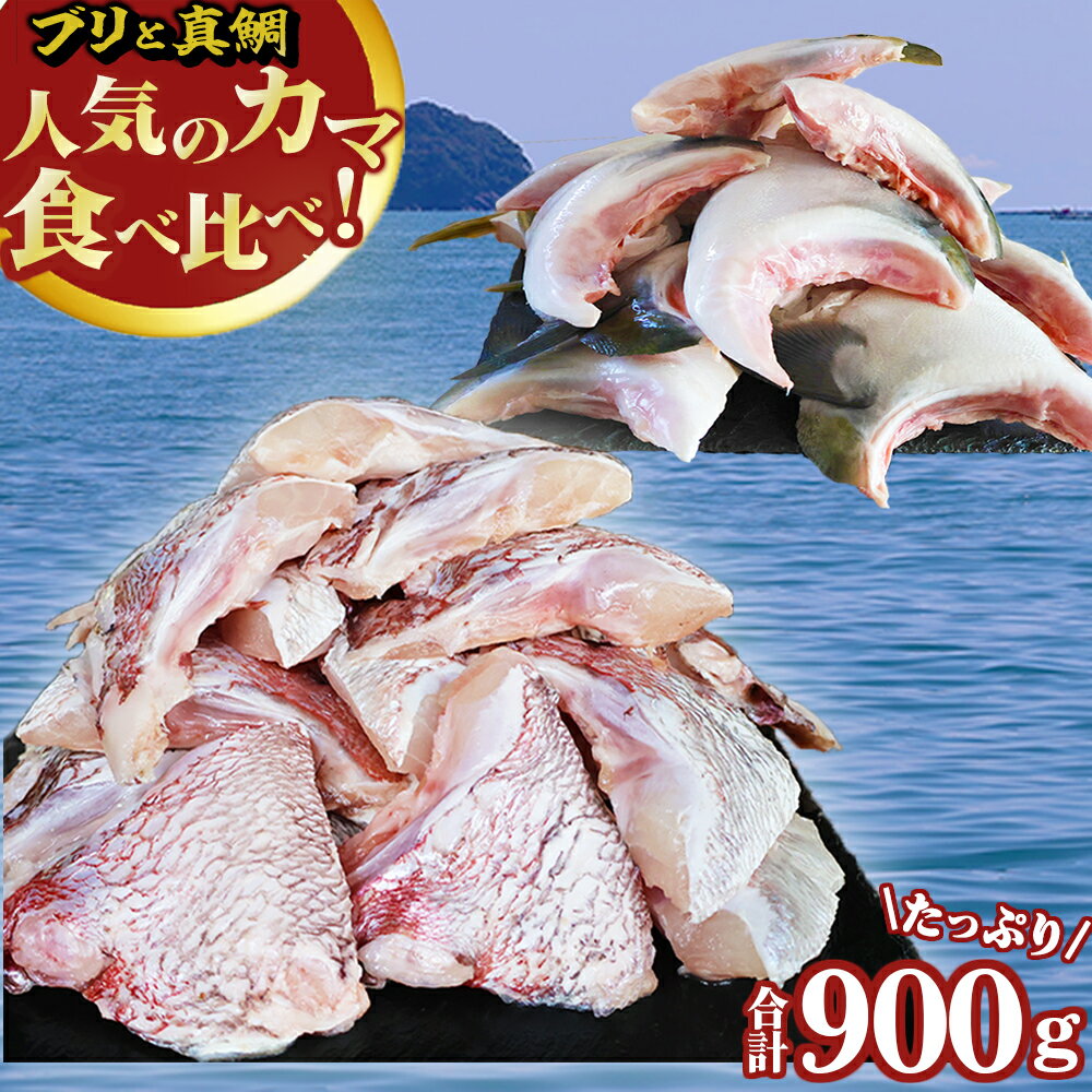 【ふるさと納税】人気のカマ 食べ比べセット ブリカマ 真鯛カマ 切り落とし 合計900g 大容量 小分け パック 国産 希少部位 ブリ ぶり 鰤 頭肉 照り焼き ブリ大根 真鯛 マダイ 鯛 タイ たい 塩焼き 煮付け 鯛めし 人気 大満足 美味しい 魚介 海鮮 BBQ 冷凍 三重県 OB-36
