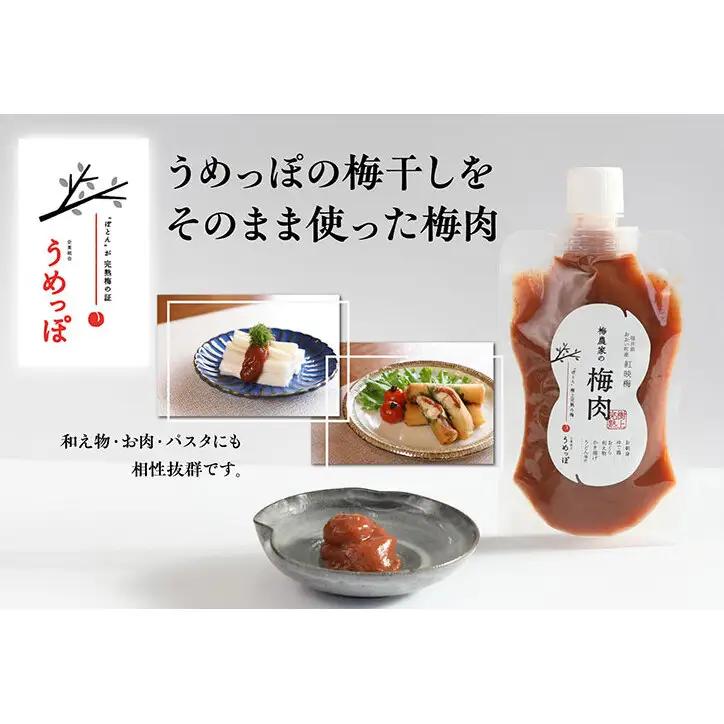 おおい町産の希少品種の完熟梅　昔ながらの梅干　いろいろセット 紅映梅 希少品種 樹上完熟 昔ながら 梅農家が作った 手作り 福井梅 梅 梅干 梅干し うめぼし 完熟 食べ比べ セット 福井県 おおい町