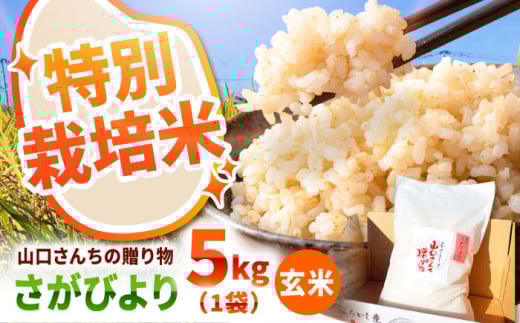 【令和7年産】特別栽培米 さがびより（玄米） 5kg 【y'scompany】 米 5kg  玄米 特A 特A評価  佐賀県産 国産米 コメ こめ お米 ブランド米 おにぎり さがびより 九州 佐賀県 白石町 人気 おすすめ 白石  令和8年発送[IAS021]