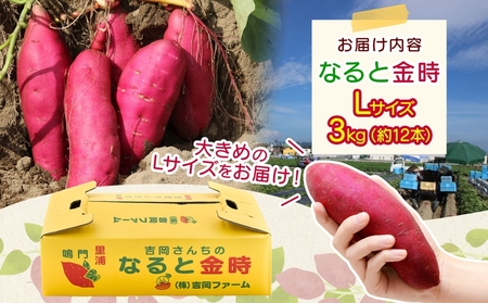 「吉岡さんちのなると金時」 Lサイズ 3kg