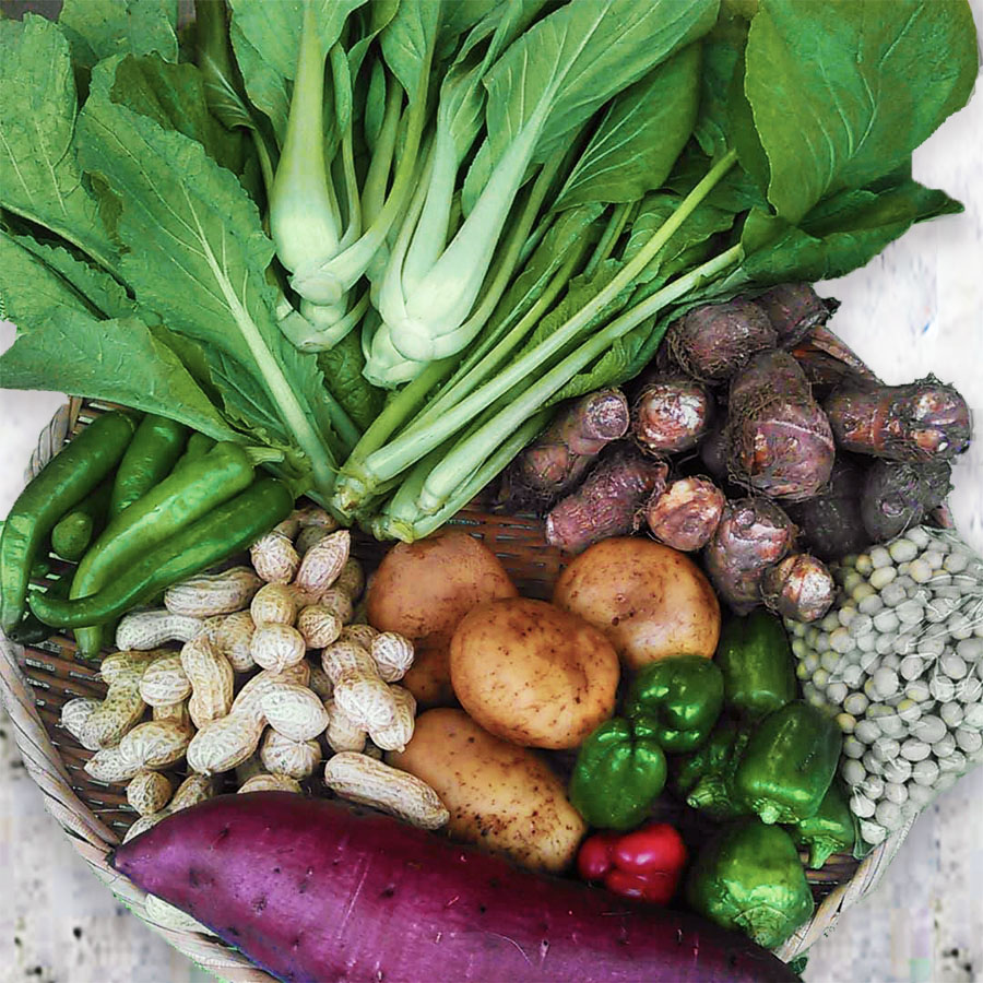 【冬】露地栽培のお野菜と乾麺うどん