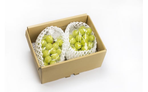 08-06-020　ぶどう(シャインマスカット)約1.2kg