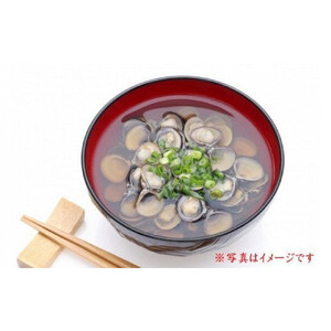 宍道湖  大和しじみ 1.5kg Lサイズ しめ縄干支箸付））| しじみ