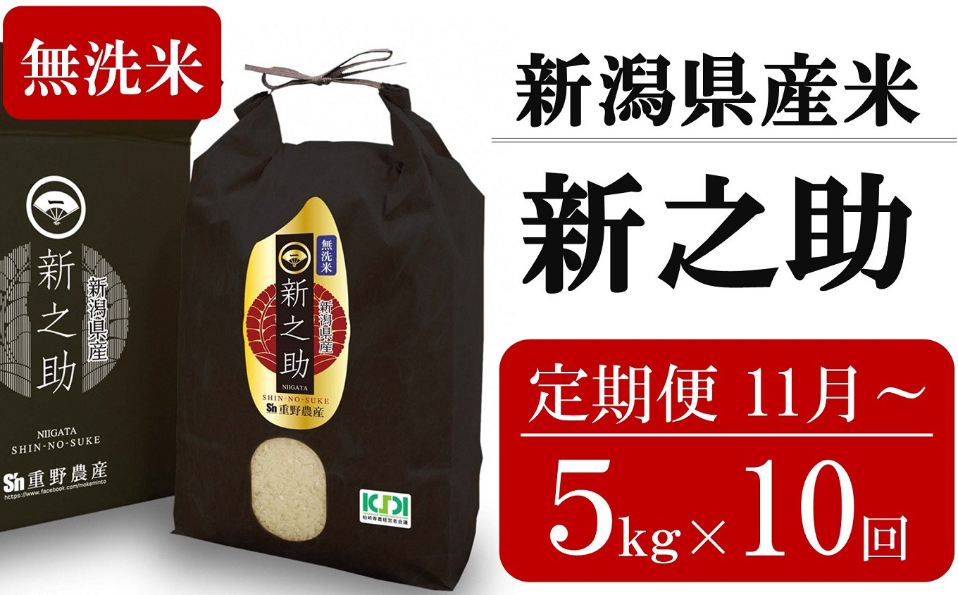 
            新米先行予約【10ヶ月定期便・11月～発送】新之助 無洗米 5kg×10回 （計 50kg）重ちゃんが愛情込めて作ったお米 令和7年産 [Y0084]
          