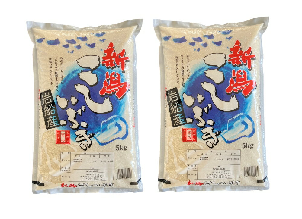 【ふるさと納税】 【令和6年産米】 新潟県産 こしいぶき 5kg×2袋（合計10kg） 精米 お米 白米 1033001