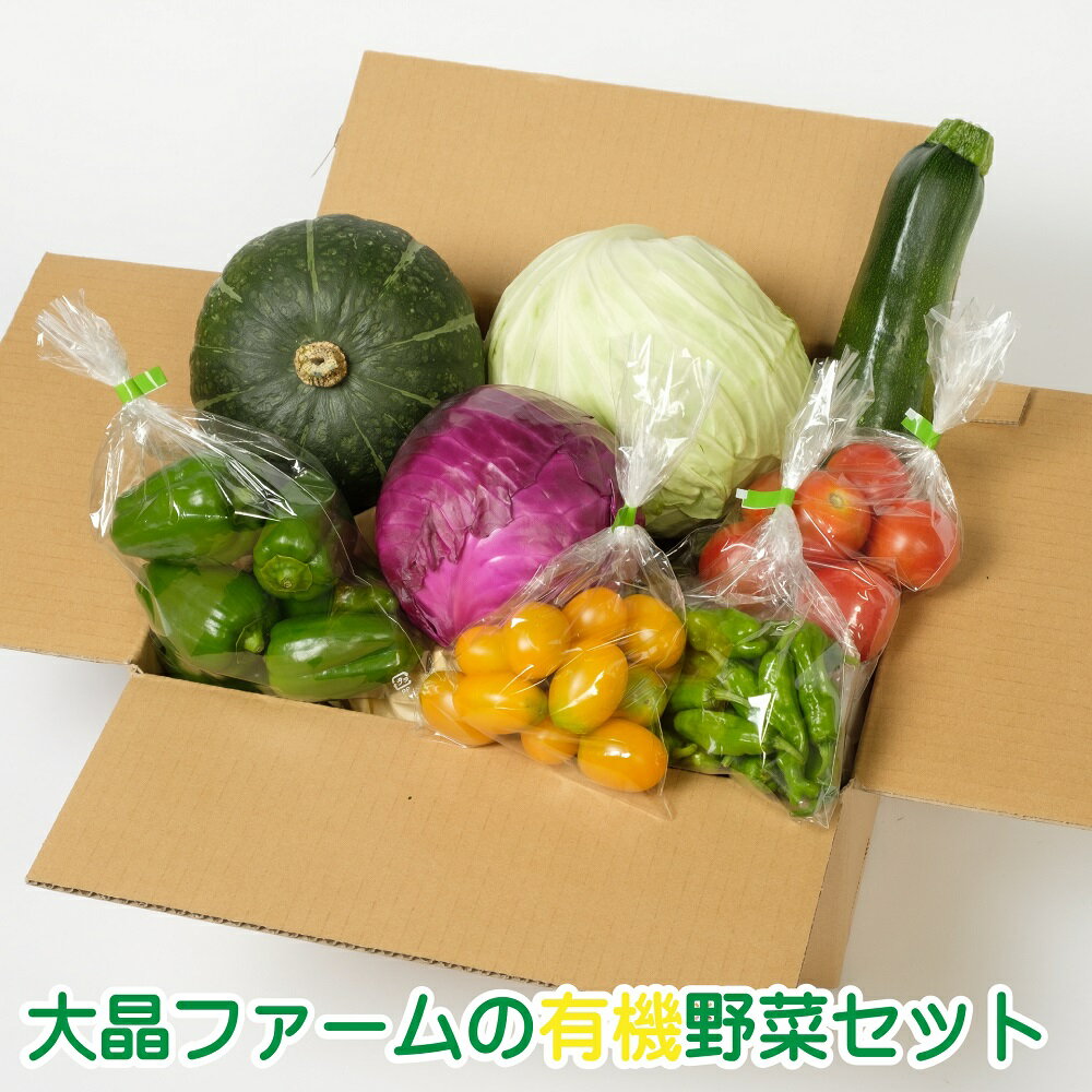 【ふるさと納税】大晶ファームの有機野菜セット（11月10日までの受付） 野菜 詰め合わせ ズッキーニ ナス ピーマン トマト キャベツ じゃがいも にんじん 大根 南瓜 小松菜 山東菜 ケール 胡瓜 スイスチャード ししとう 北海道 新得町 送料無料 【Z-1302】