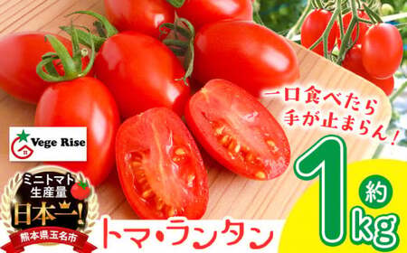 ミニトマト 生産量 日本一 玉名市 !！ 「 トマ・ランタン 」 約 1kg |  ミニトマト トマト 熊本県 玉名市
