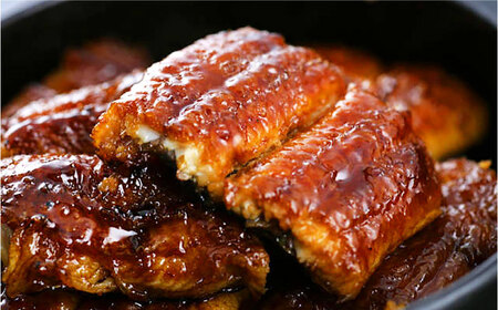 国産うなぎ 二文字屋 うなぎ蒲焼×1本 真空パック 江戸時代から続く老舗の秘伝のタレ使用 御祝い 贈り物 記念日 丑の日 岐阜市/二文字屋 [ANCB002]