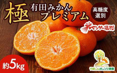 ＼光センサー選別／極 有田みかんプレミアム 約5kg【光センサー 高糖度選ん 別品】2S～Mの小玉サイズ 有機質肥料100% | 光センサー選別 温州みかみかん 高糖度 柑橘 果物 フルーツ 甘い◇※2025年11月下旬～2026年1月上旬頃に順次発送予定 ※北海道・沖縄・離島への配送不可