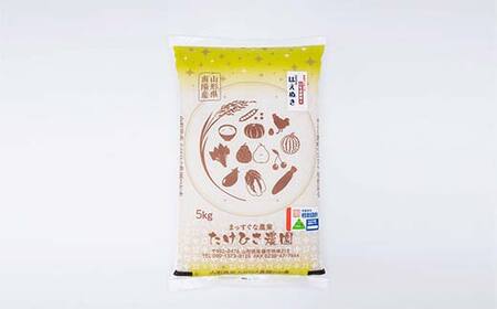【令和7年産 新米 先行予約】 特別栽培米 はえぬき (精米) 20kg (5kg×4袋) 《令和7年9月下旬～発送》 『たけひさ農園』 山形南陽産 米 白米 山形県 南陽市 [2374-R7]