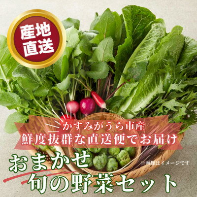 【ふるさと納税】かすみがうら市産 旬の野菜おまかせセット 7～9種(2～3名様分)【配送不可地域：離島】【1604066】