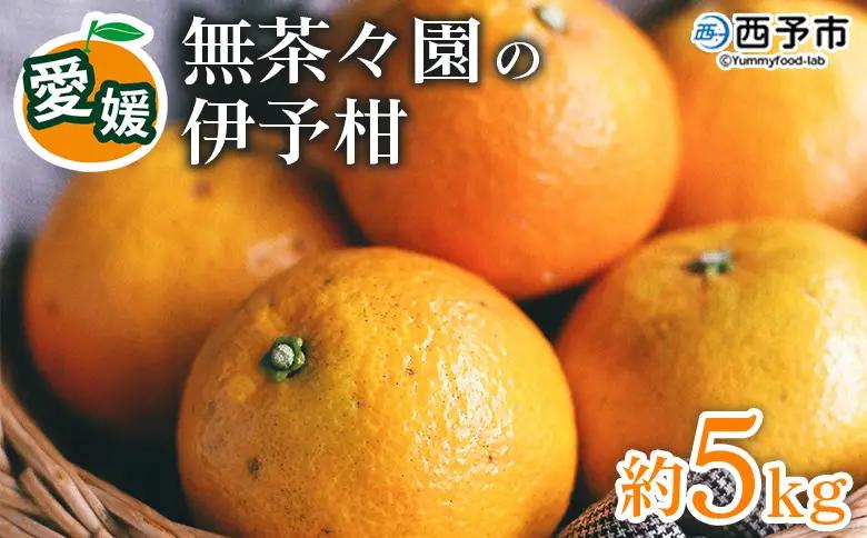 【先行予約】＜無茶々園の伊予柑 約5kg＞ 果物 いよかん イヨカン みかん ミカン 蜜柑 柑橘 フルーツ 期間限定 季節限定 特産品 愛媛県 西予市【常温】『2027年1月中旬～2月中旬に順次出荷予定』AMC0060