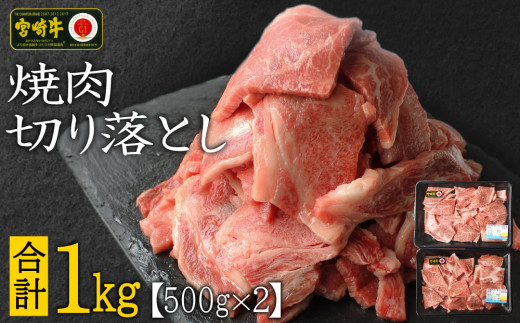 
宮崎牛 焼肉 切り落とし 合計1kg（500g×2P）ウデ 牛肉 切り落し 切落し BBQ 国産 普段使い 九州産【C269-24-30】
