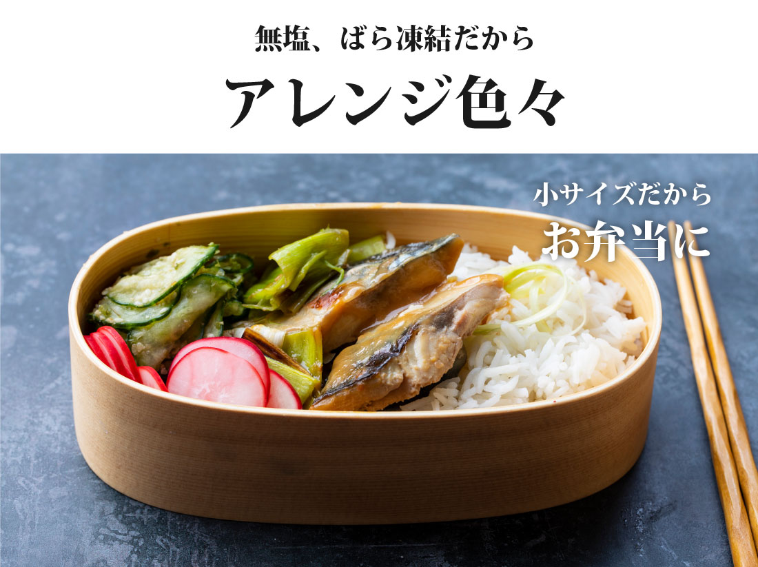 魚のおんちゃま 三陸常磐産 サバ 骨取切り身 30g×20枚入